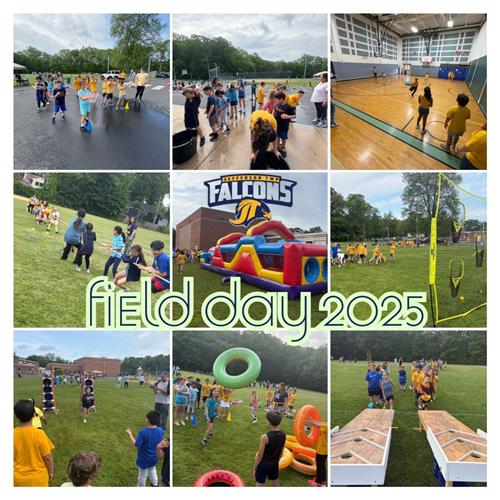 FIELD DAY